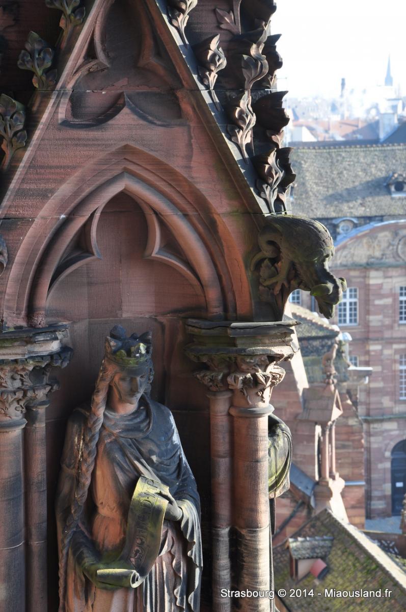 014 - Strasbourg 2014
