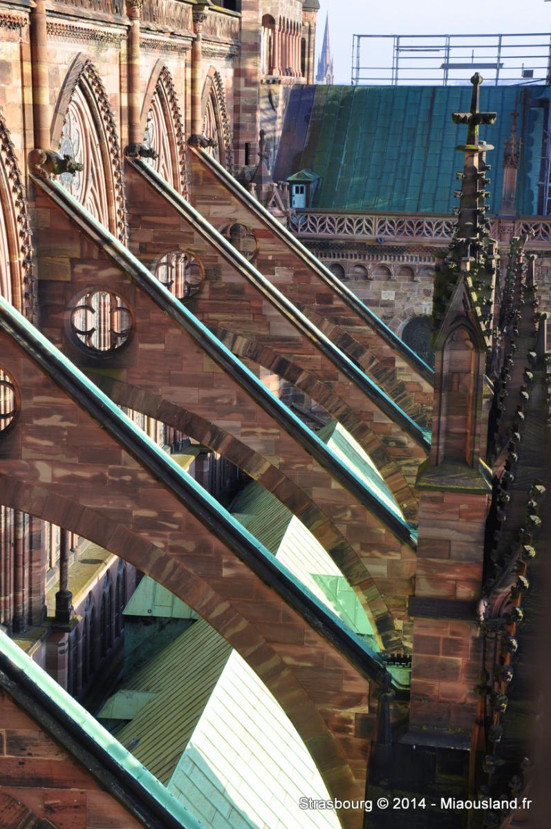 015 - Strasbourg 2014