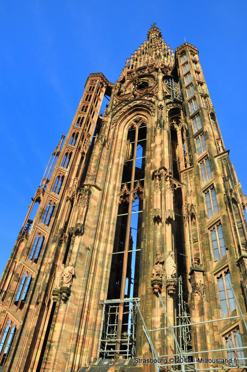 016 - Strasbourg 2014