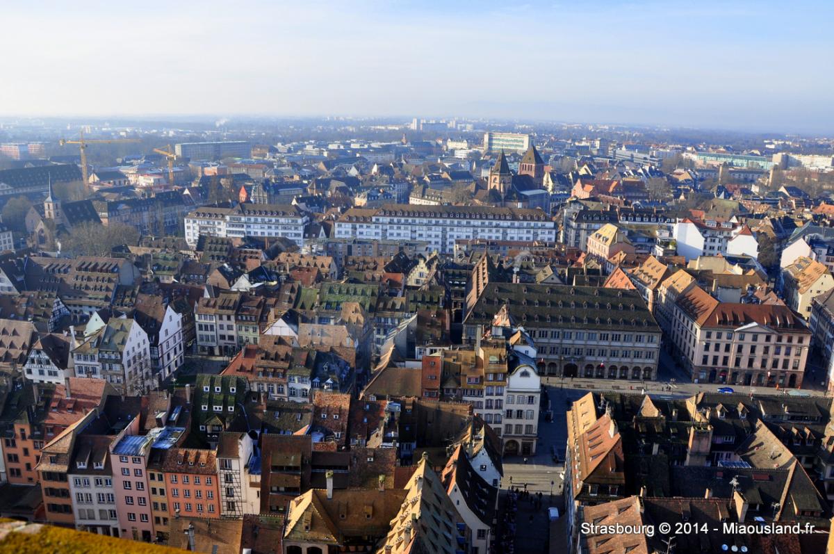 017 - Strasbourg 2014