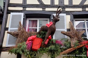 043 - Strasbourg 2014