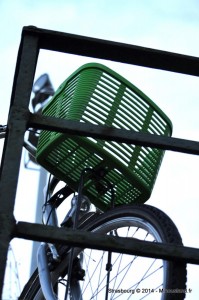 045 - Strasbourg 2014