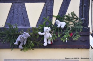 072 - Strasbourg 2014