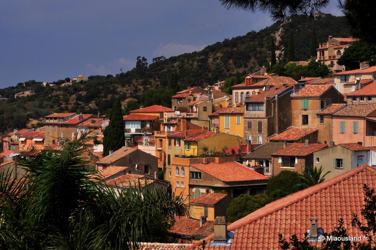 05 - Bormes les Mimosas 01