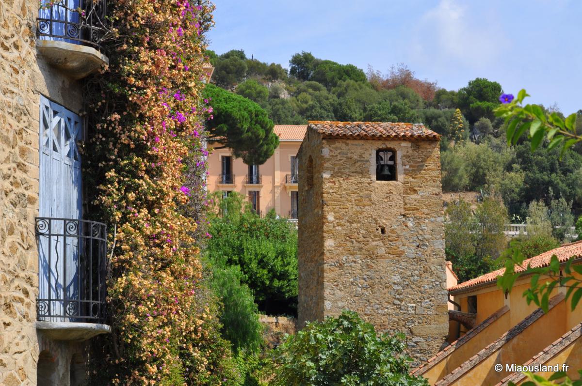 05 - Bormes les Mimosas 04