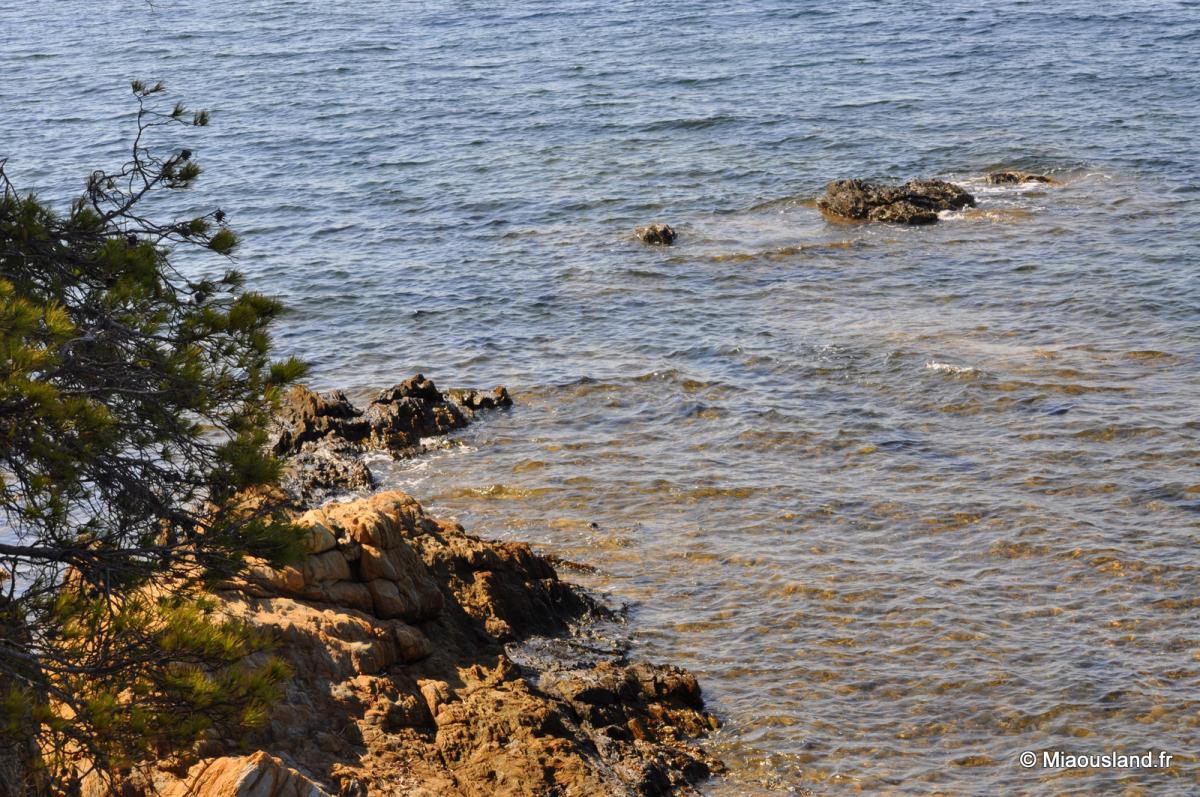 07 - Sentier du litoral 02