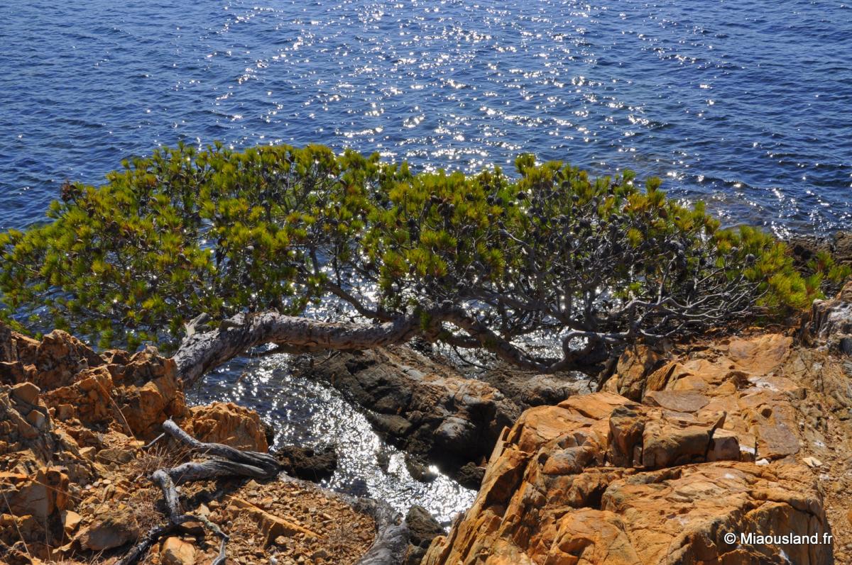 07 - Sentier du litoral 13