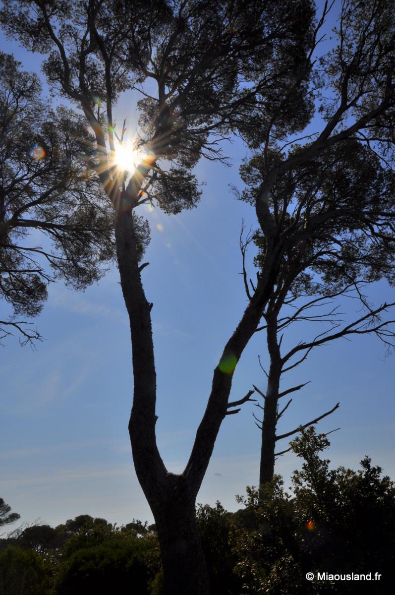 07 - Sentier du litoral 17