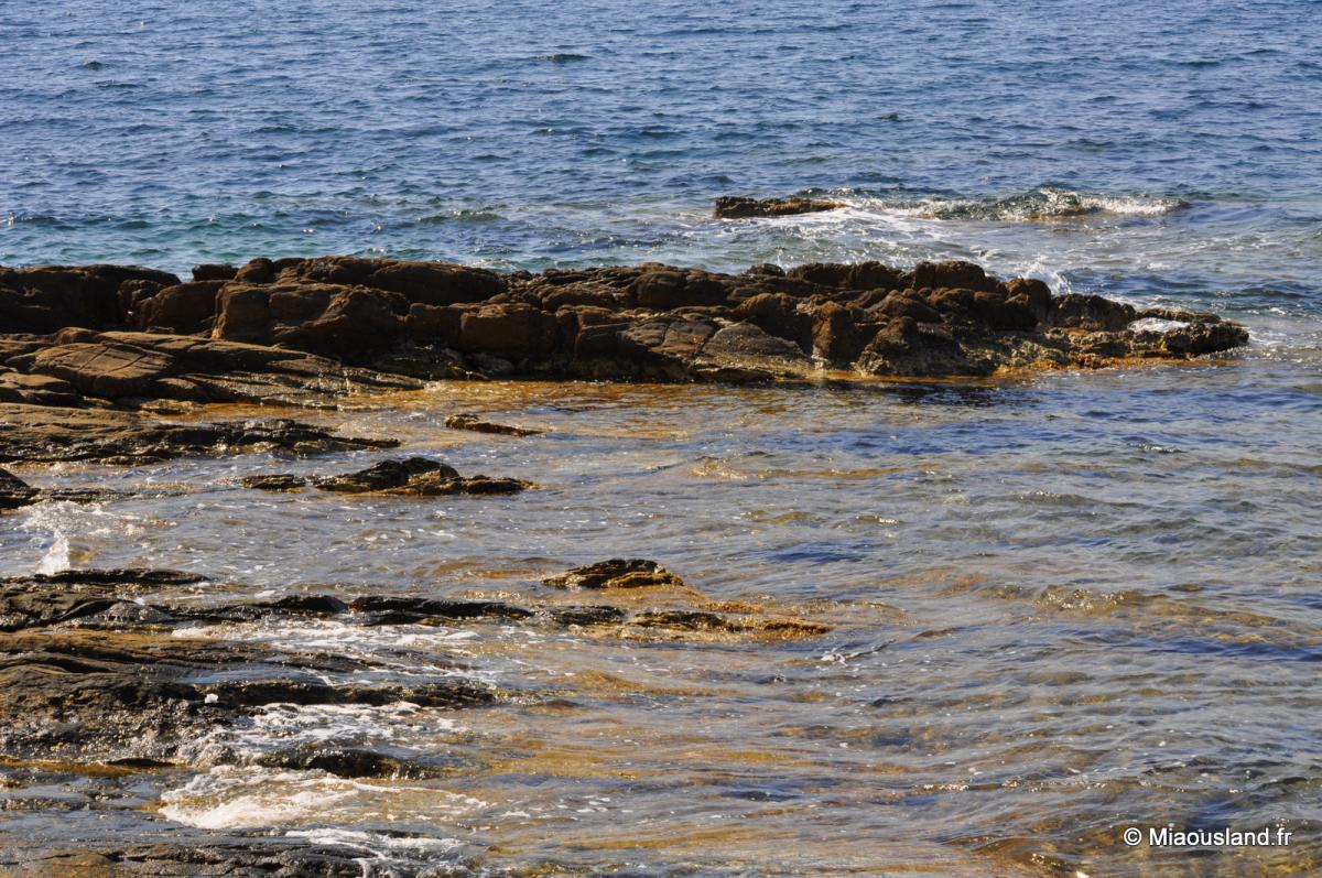 07 - Sentier du litoral 36