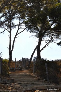 07 - Sentier du litoral 23