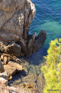 07 - Sentier du litoral 27