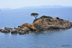 07 - Sentier du litoral 28