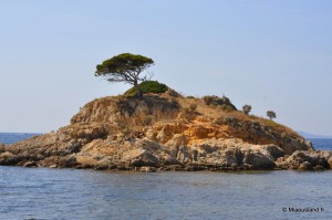 07 - Sentier du litoral 34