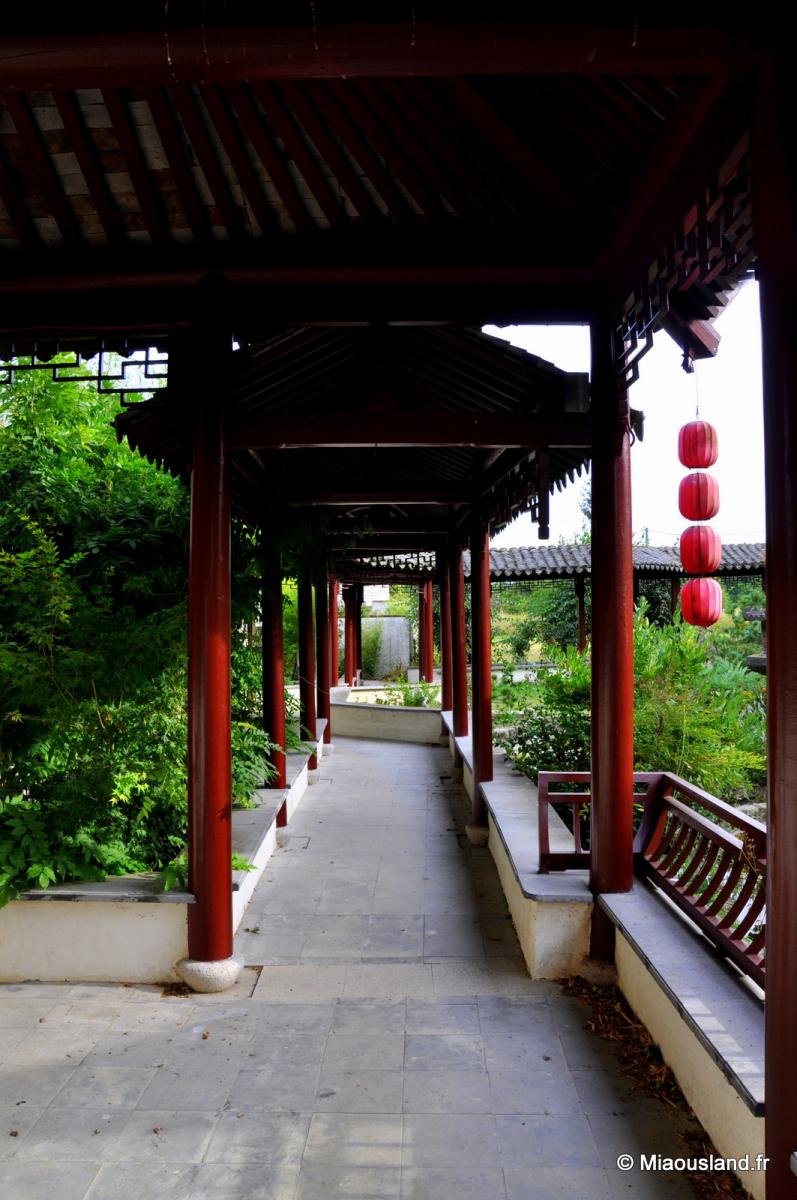 Jardin Yili 31
