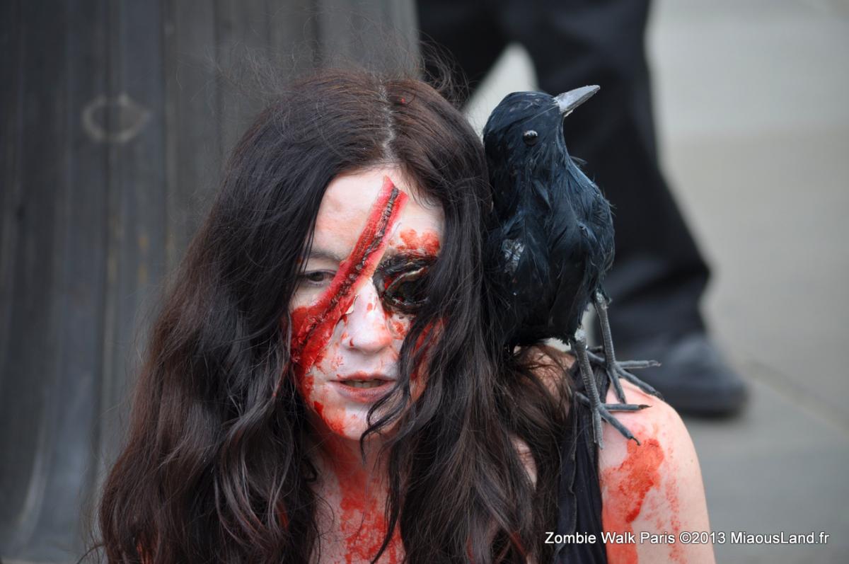 014 - Zombie Walk 2013