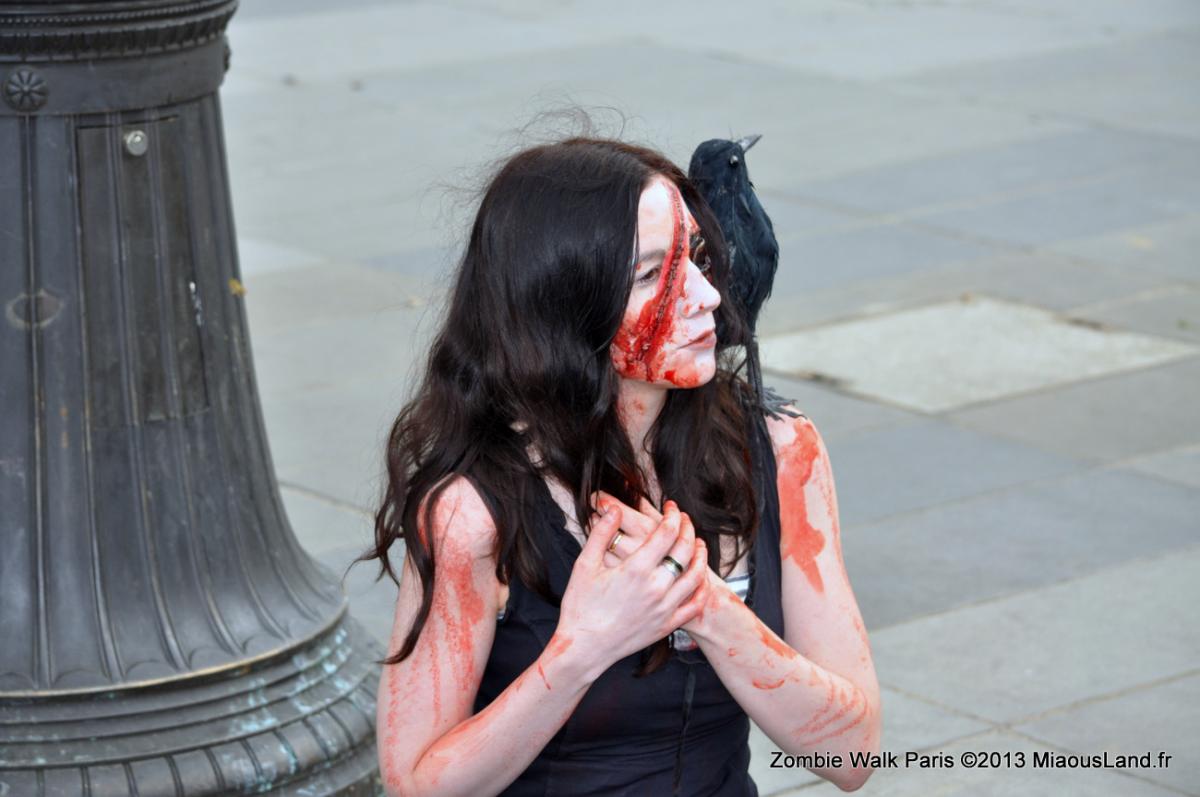 017 - Zombie Walk 2013