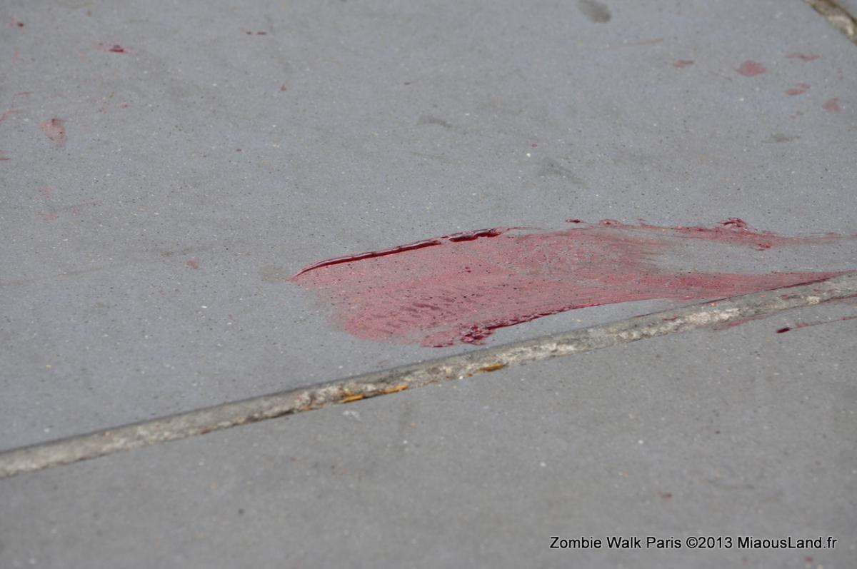 068 - Zombie Walk 2013