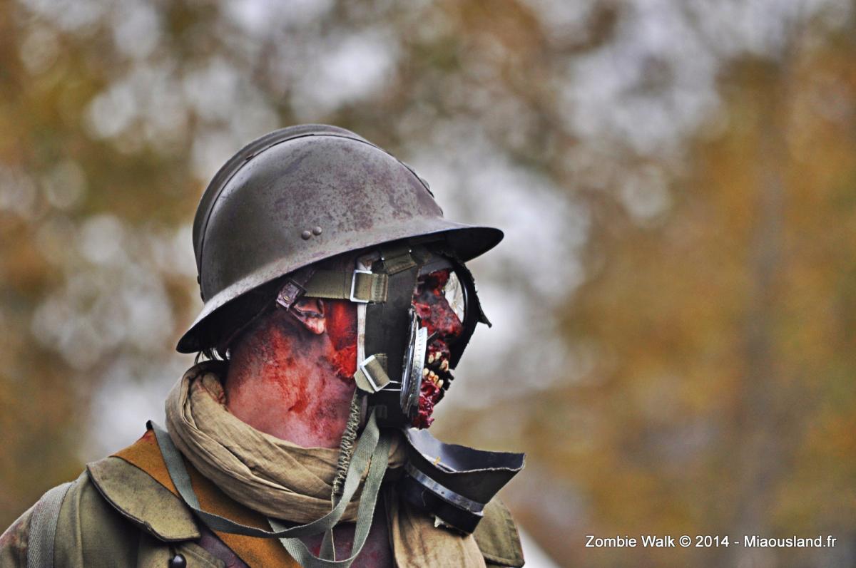115 - Zombie Walk 2014