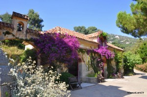 26 - Domaine du Rayol - Jardin