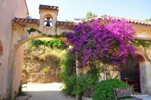 27 - Domaine du Rayol - Jardin