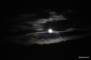 47 - Le Lavandou - Lune